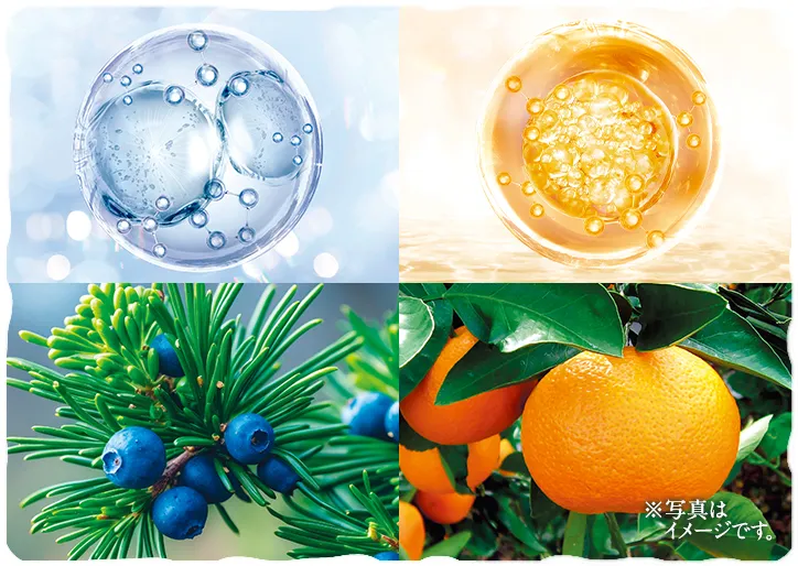 ブライトランス処方