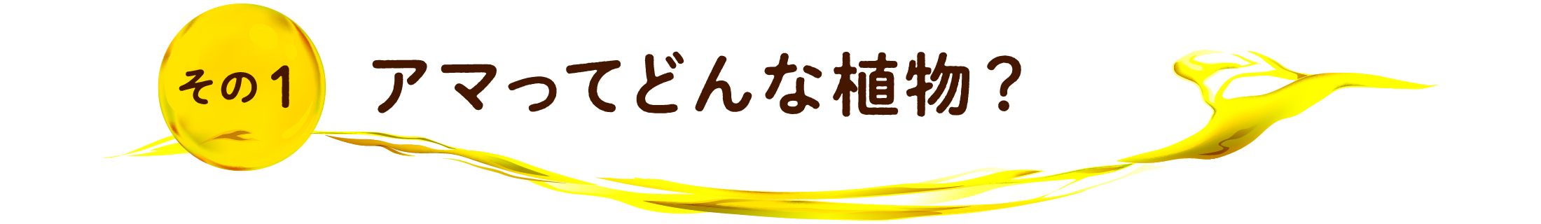 その1 アマってどんな植物？