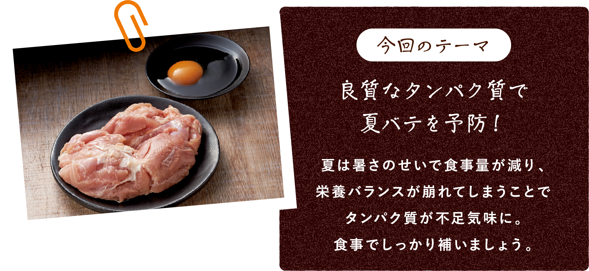 今回のテーマ 良質なタンパク質で夏バテを予防!