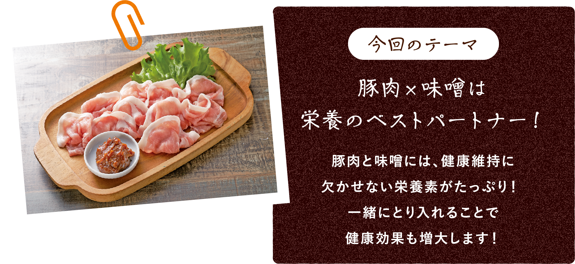 今回のテーマ、豚肉と味噌は栄養のベストパートナー！豚肉と味噌には、健康維持に欠かせない栄養素がたっぷり！一緒に取り入れることで健康効果も増大します！