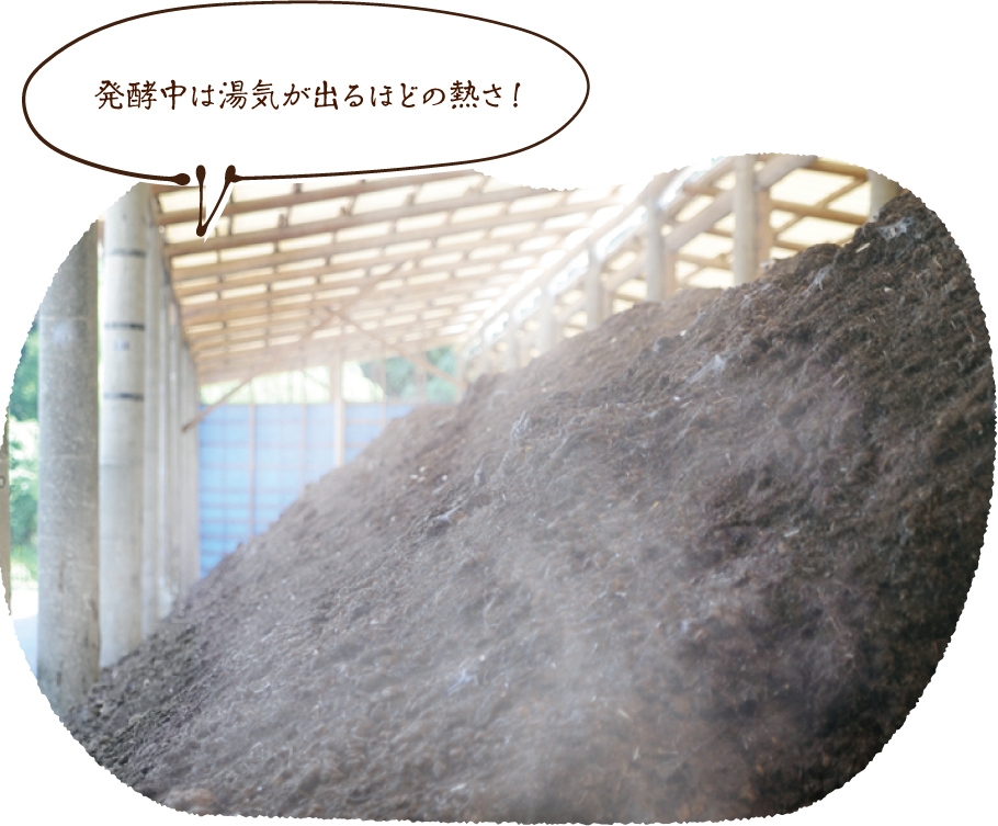 発酵中は湯気が出るほどの熱さ!