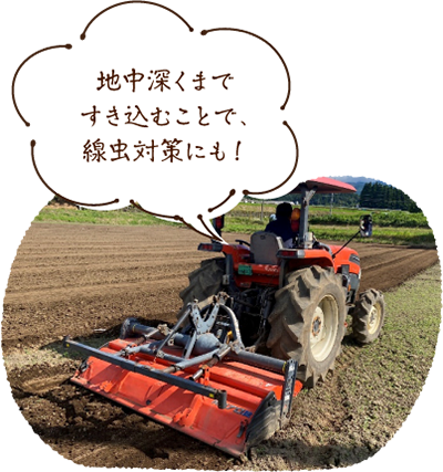 地中深くまですき込むことで、線虫対策にも!