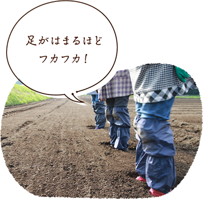 足がはまるほどフカフカ!