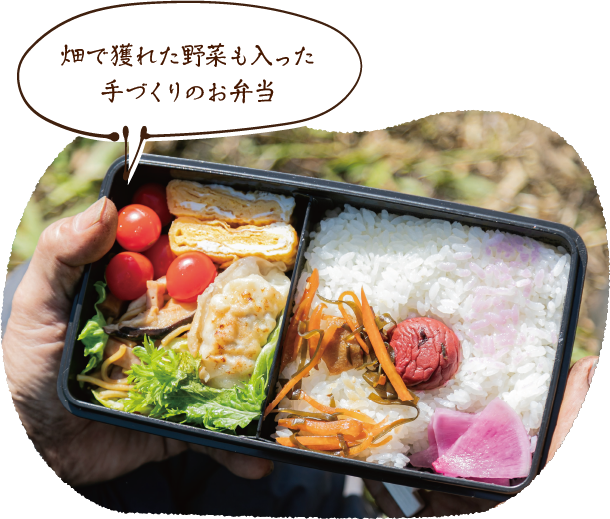 畑で穫れた野菜も入った手づくりのお弁当