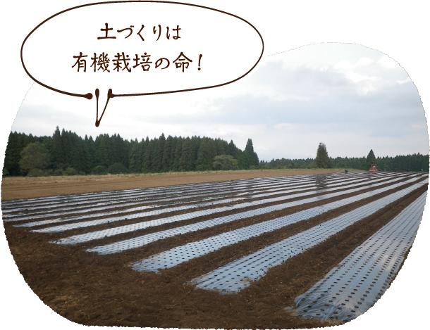 土づくりは有機栽培の命!