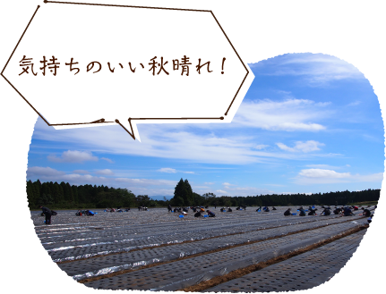 気持ちのいい秋晴れ!
