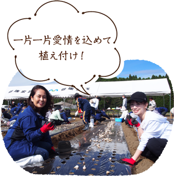 一片一片愛情を込めて植え付け!