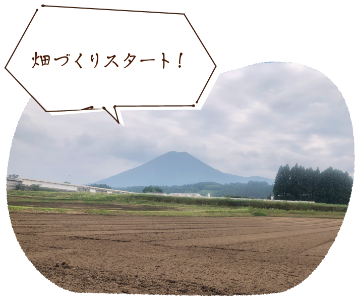 畑づくりスタート!