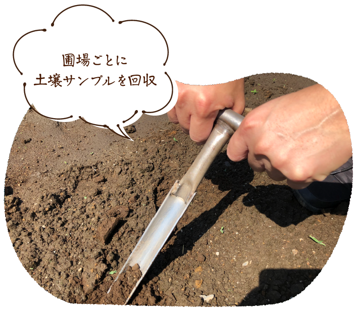 畑づくりスタート!