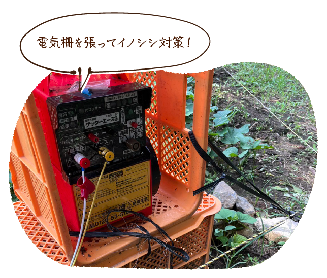 電気柵を張ってイノシシ対策!
