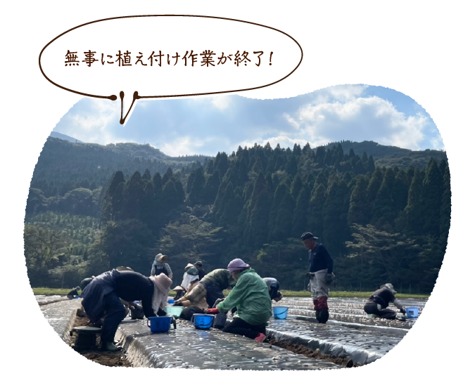 無事に植え付け作業が終了！