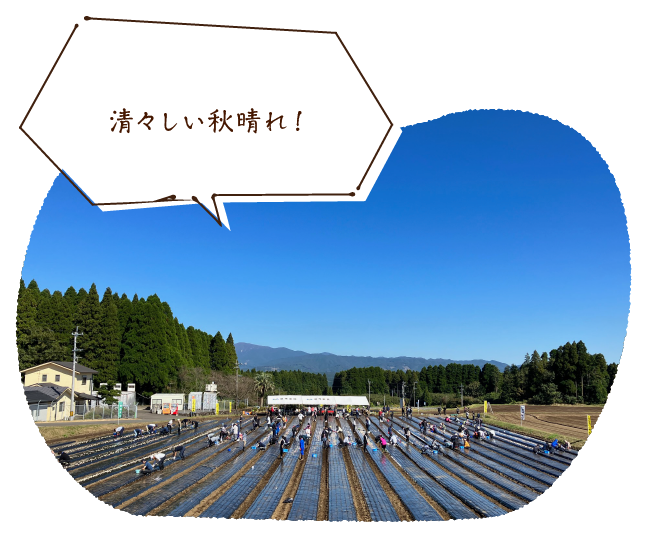 清々しい秋晴れ!