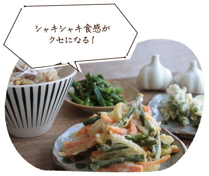シャキシャキ食感がクセになる!