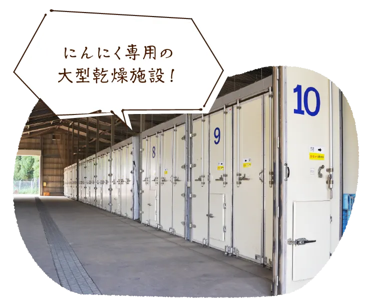 にんにく専用の大型乾燥施設!
