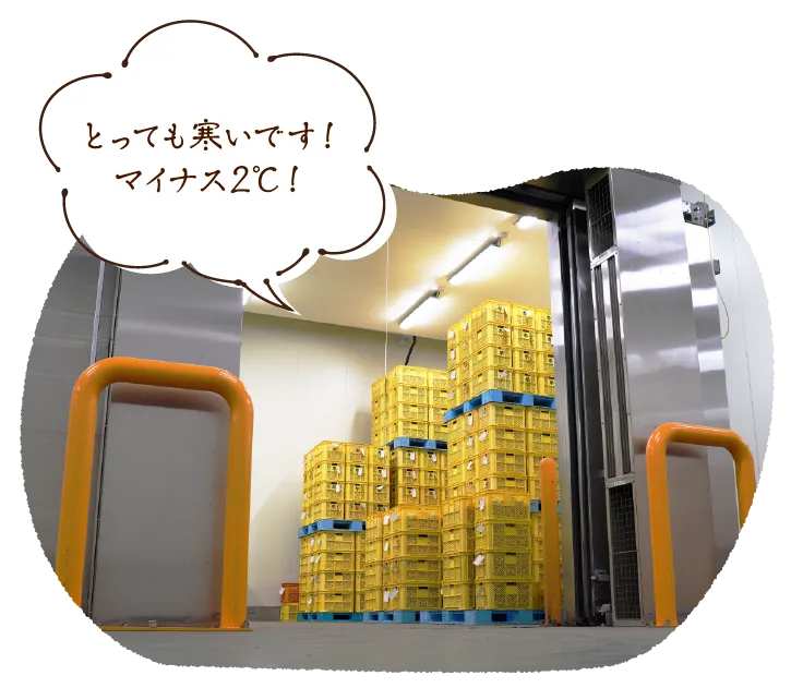 とっても寒いです!マイナス2℃!