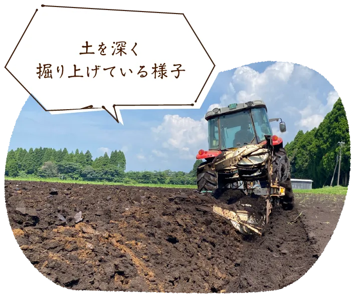 土を深く掘り上げている様子
