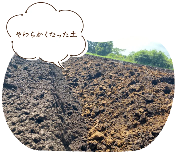 やわらかくなった土
