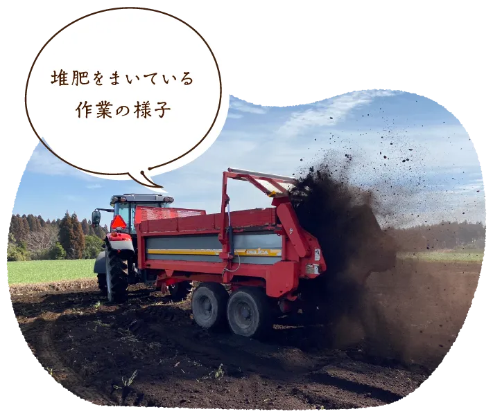 堆肥をまいている作業の様子