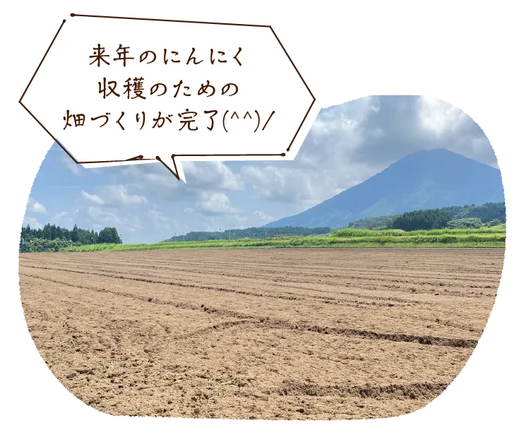 来年のにんにく収穫のための畑づくりが完了(^^)/