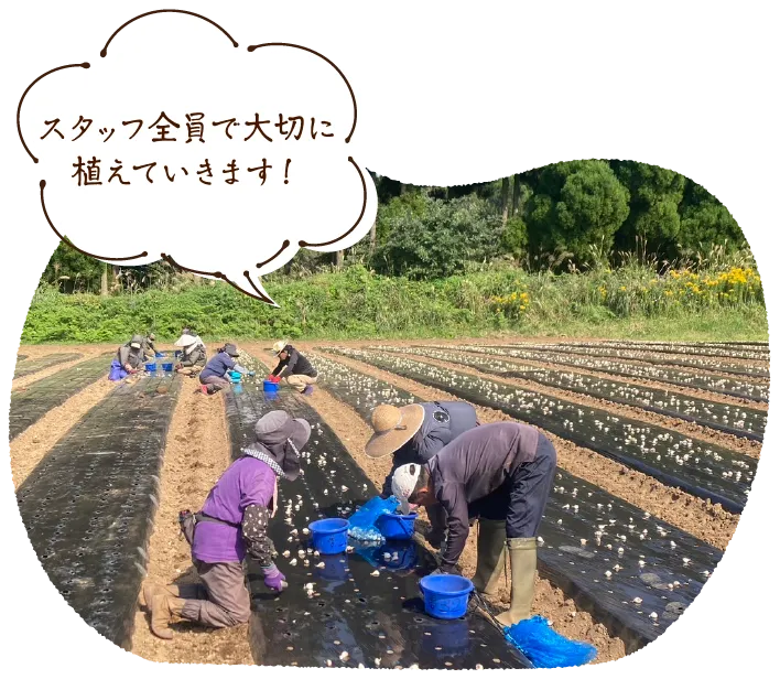 スタッフ全員で大切に植えていきます!