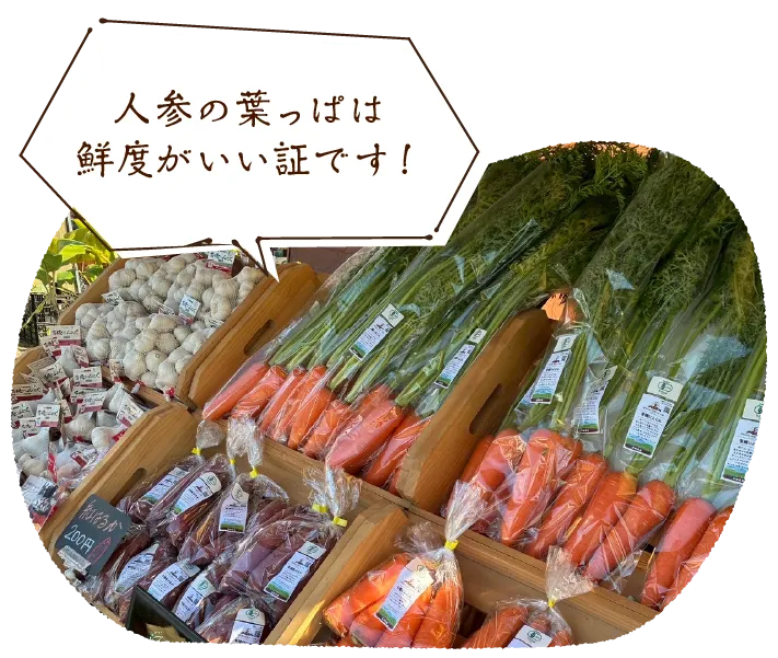 「人参の葉っぱは鮮度がいい証です！」