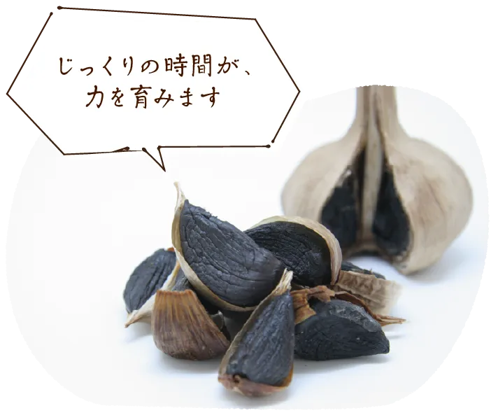 「じっくりの時間が、力を育みます」