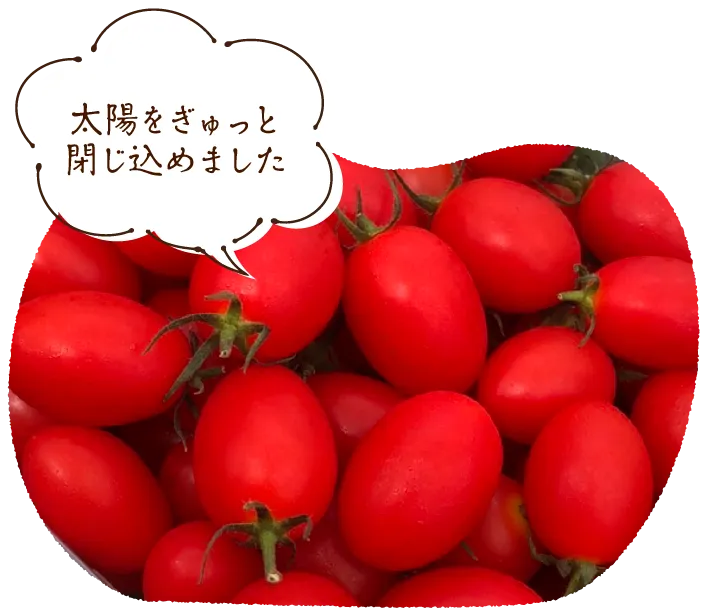 「太陽をぎゅっと閉じ込めました」