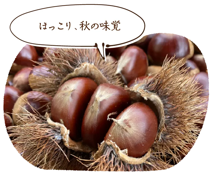 「ほっこり、秋の味覚」
