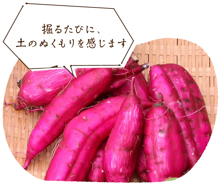 「掘るたびに、土のぬくもりを感じます」