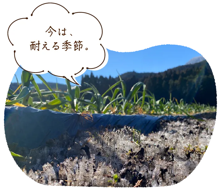 「今は、耐える季節。」