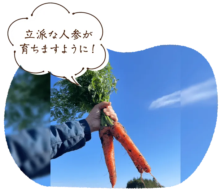 【小さな芽からスタート!】
