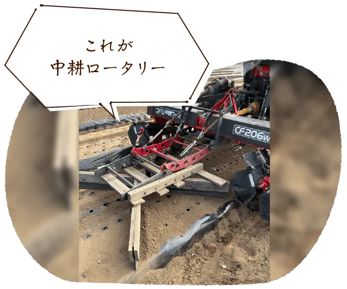 これが中耕ロータリー