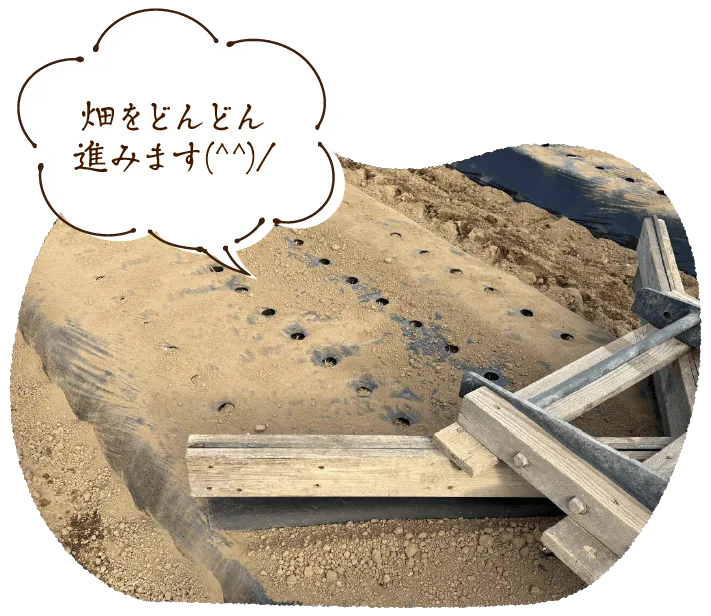 畑をどんどん進みます(^^)/