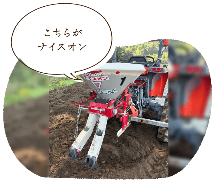 こちらがナイスオン