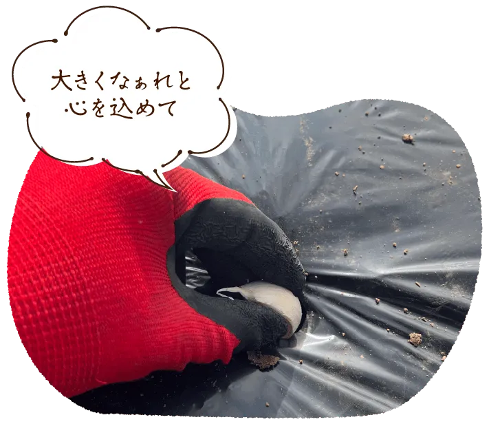 大きくなぁれと心を込めて