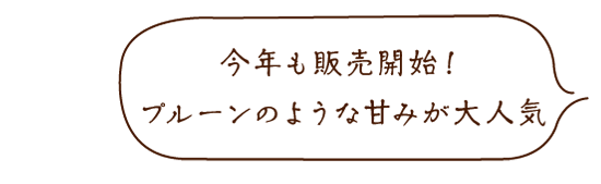 有機黒にんにく〈黒琥珀〉