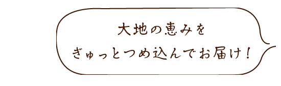 大地の恵みをぎゅっとつめ込んでお届け！