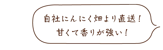 自社にんにく畑より直送！甘くて香りが強い！