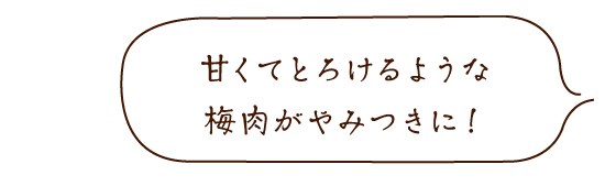 甘くてとろけるような梅肉がやみつきに!