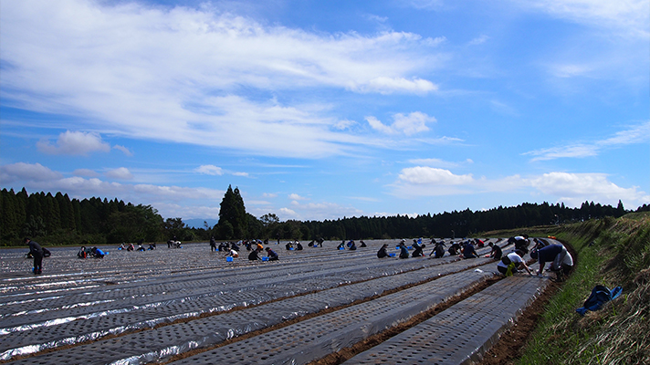 3年ぶりの現地開催！【にんにく植え付け祭】