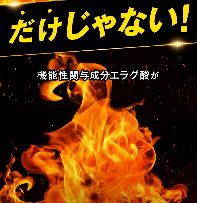 だけじゃない!