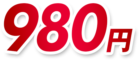 約80%OFF 980円(税込)