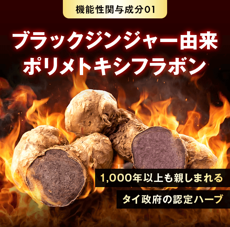 ブラックジンジャー由来ポリメトキシフラボン