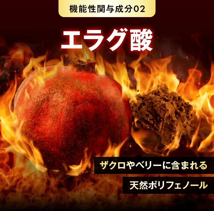エラグ酸 ザクロやベリーに含まれる天然ポリフェノール