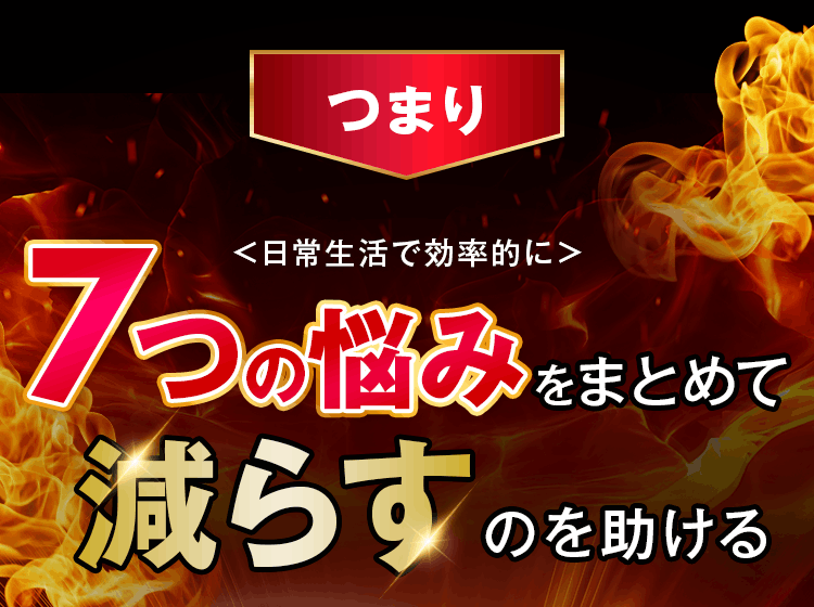 <日常生活で効率的に>