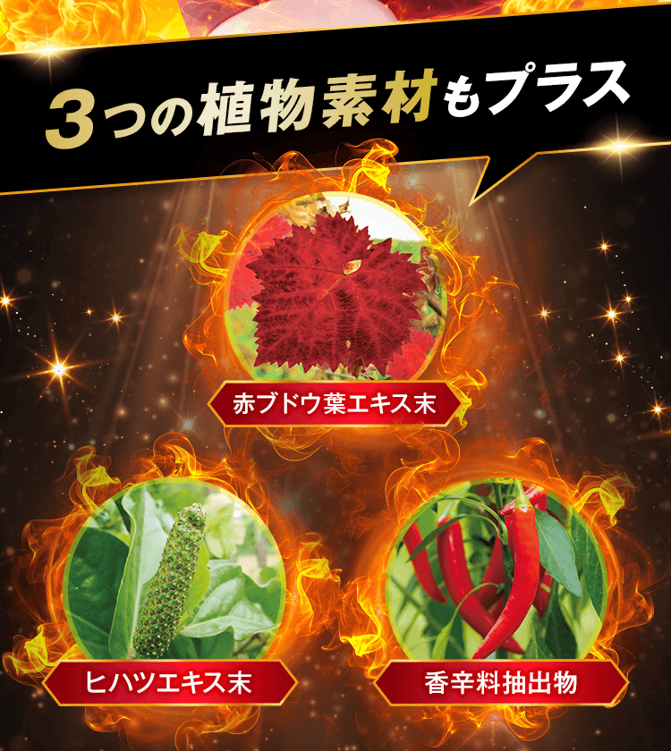 3つの植物素材もプラス