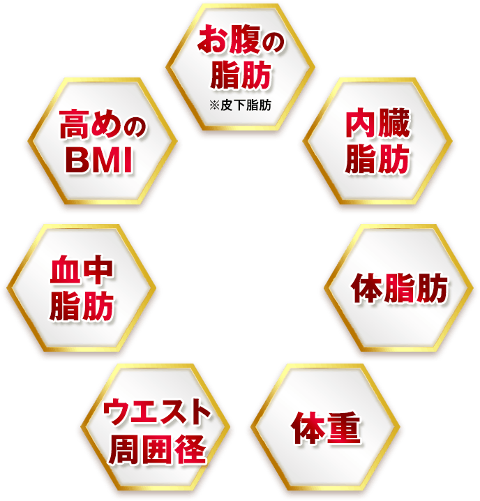 7つの悩み