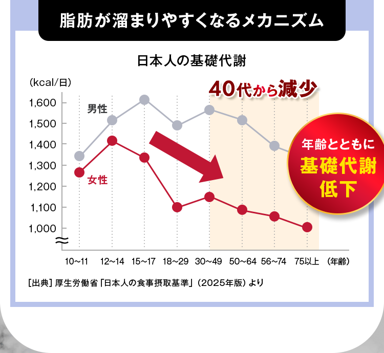 脂肪が溜まりやすくなるメカニズム