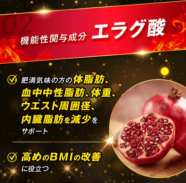 機能性関与成分 エラグ酸