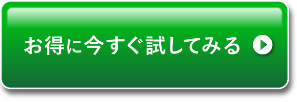 お得に今すぐ試してみる